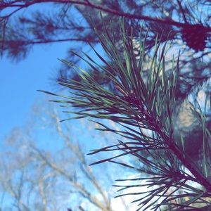 Meet your Posher, Addison